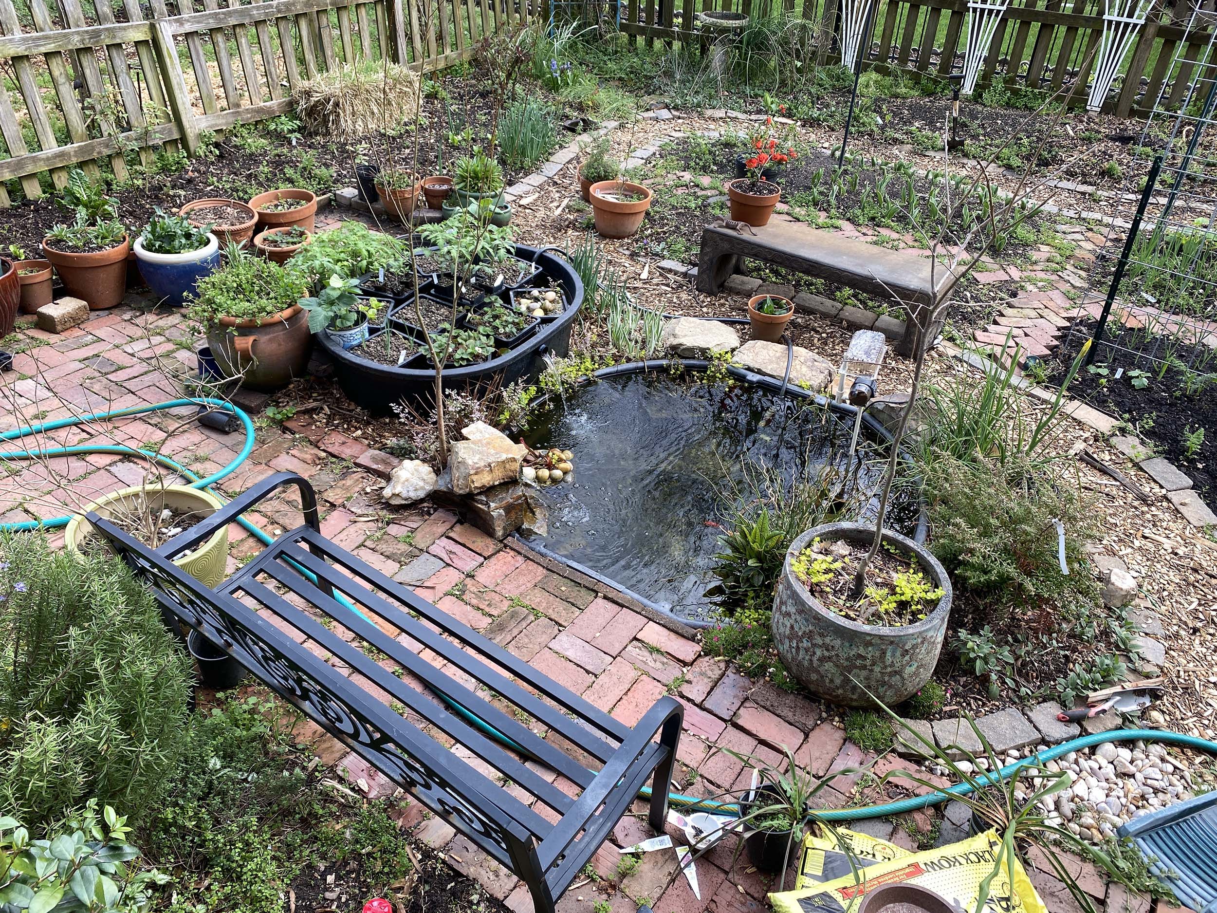 Upgrade Your Pond with a Bog Filter System