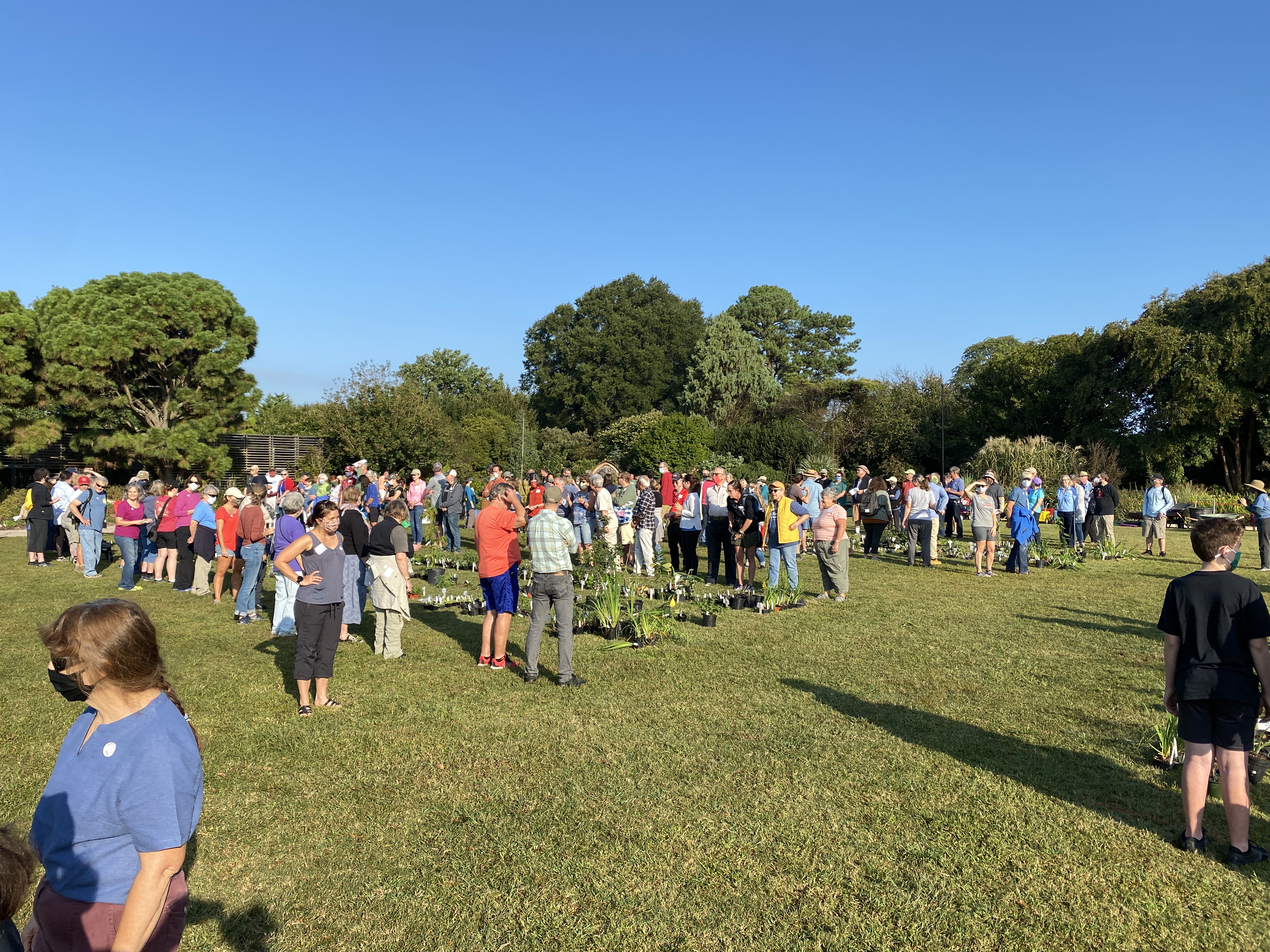 people lined up around an assortment of plants