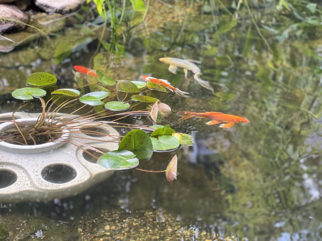 submerged pot with holes